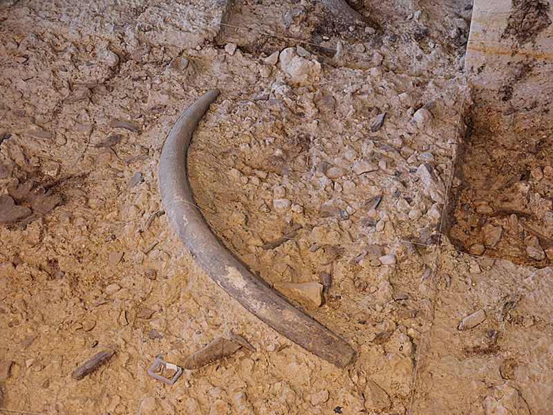 Paleolitic site (700.000 years ago)Isernia(Molise)