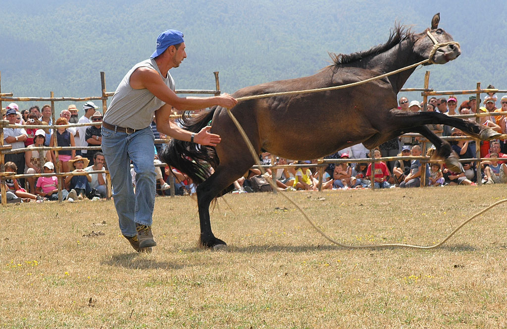 Rodeo Pentro