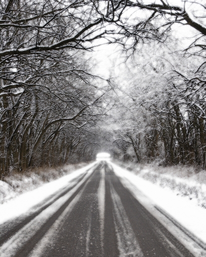 mild winter