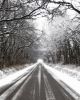 mild winter