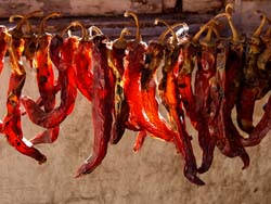 peppers