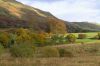 view from my bedroom window by jim stirling