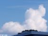 Puppy Cloud by Valorie Spencer