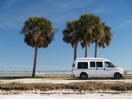 The Vacationers