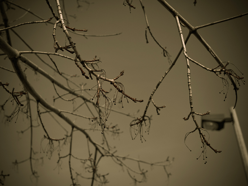 Moody
