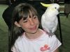 feathered friend