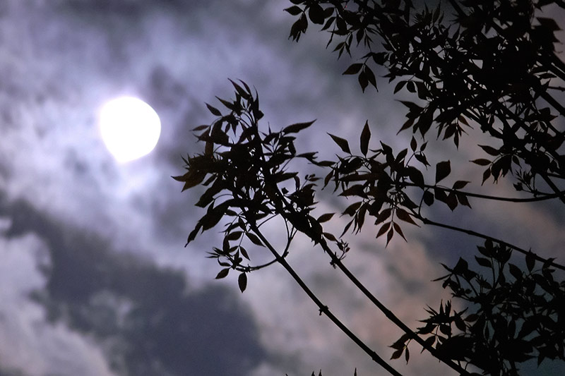 Cool night