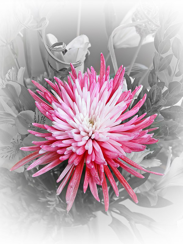 Flower explosion