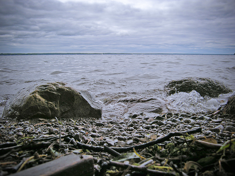 Earth & Water