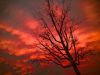 Edge of Darkness