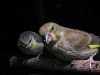 Me and my brother. by Phil Battersby