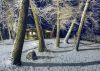 Snow at night by Joe Saladino