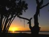 Sunset over Myakka Lake by Joe Saladino