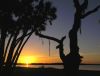 Sunset over Myakka Lake