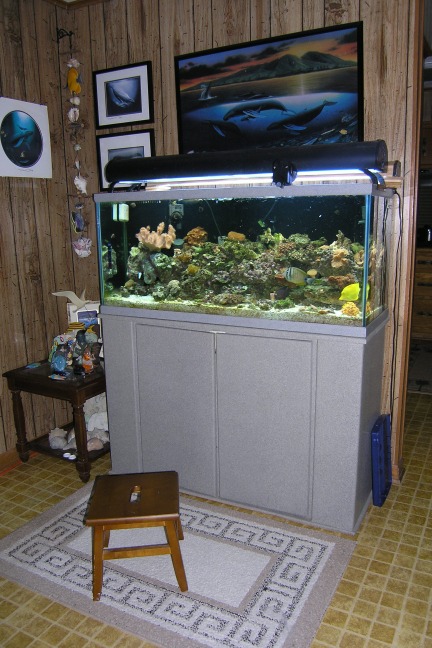 Full Tank View Mar 2005 (2)