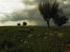 Afternoon by Farhad Jafarpour