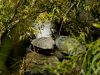 Two Turtle's by Fonzy -