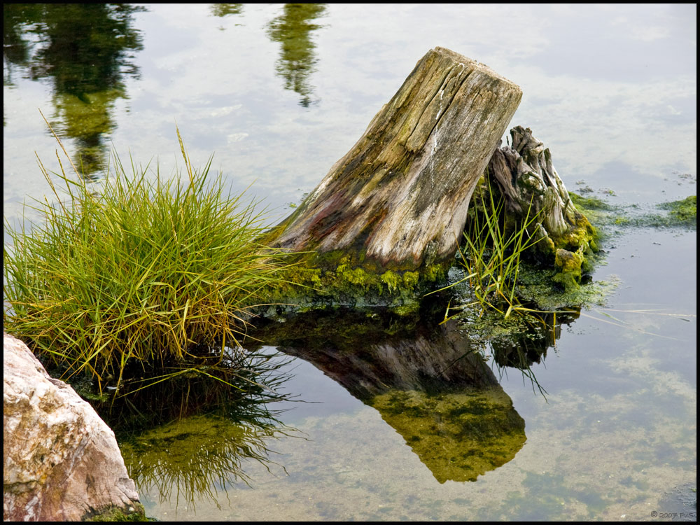 Reflections (3)