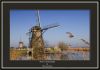 Winterday in the Kinderdijk(nl) by Fonzy -
