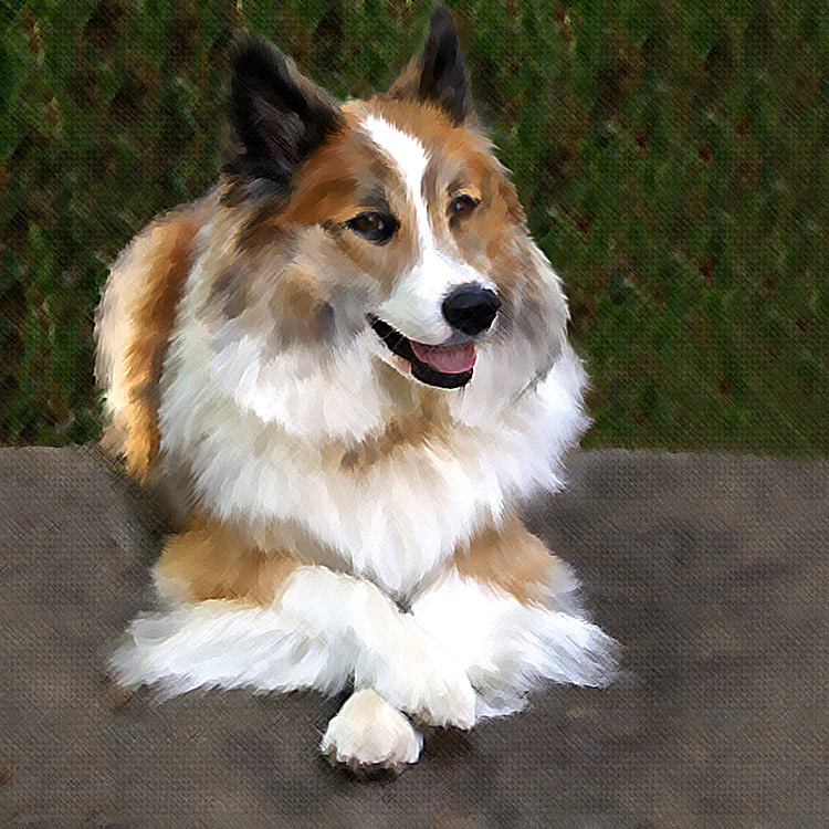 Painted DOG (2)