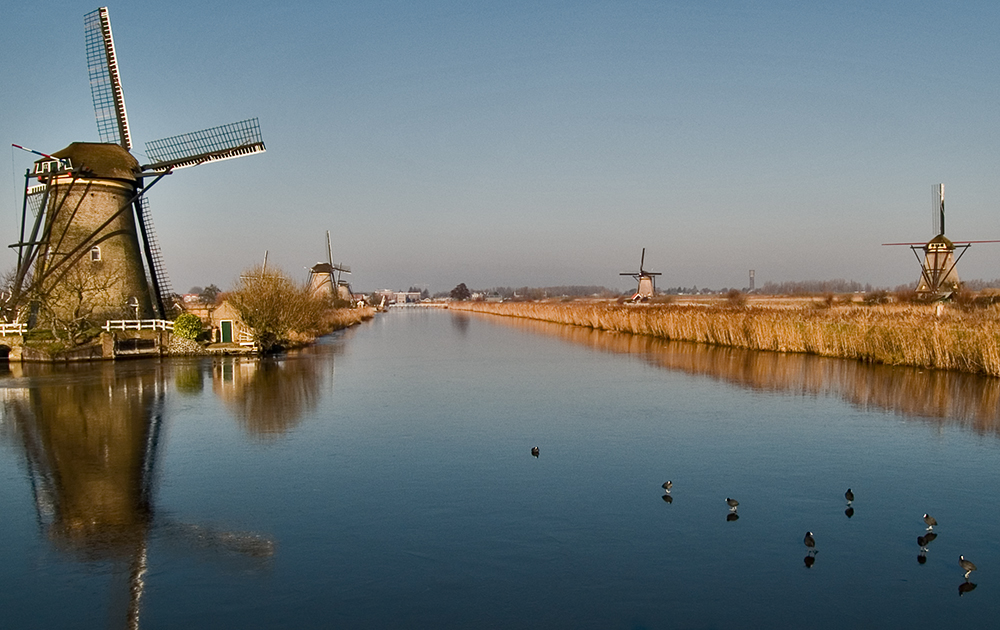 Froosen canals in the Kinderdijk