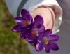 A child hand filled with flowers by Fonzy -