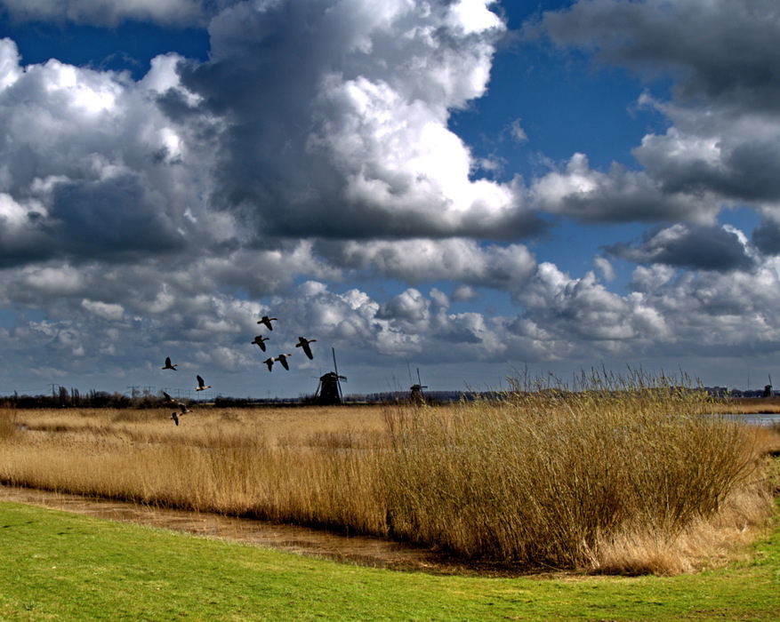 Dramatic Sky (2)