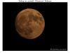 Full Moon May 11 2006 by Fonzy -