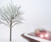 A foggy morning