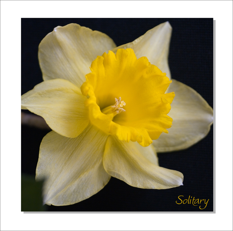 Solitary (2)