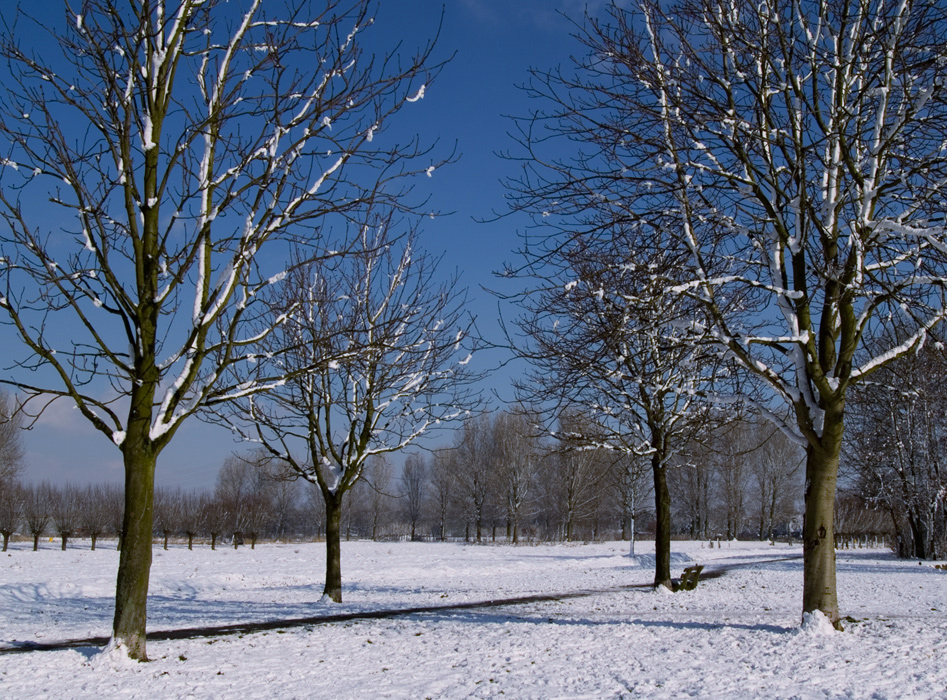 Winter scene (2)