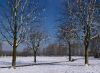 Winter scene (2) by Fonzy -