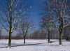 Winter scene (2) by Fonzy -