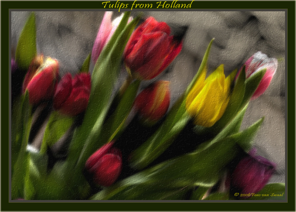 Tulips Painted