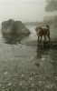 once upon a time in the foggy afternoon... by karmen orlić gr?etić