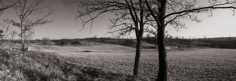 Istrian landscape