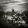 Kinderdijk III... by karmen orlić gr?etić