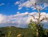 Near Grimalda by karmen orlić gr?etić