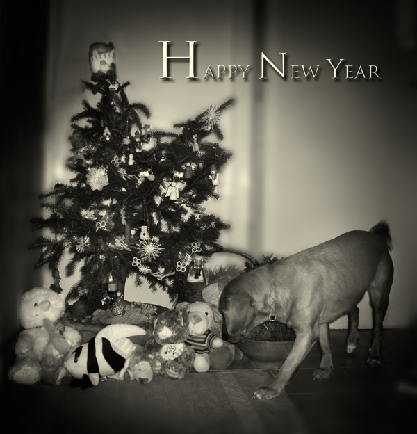happy new year