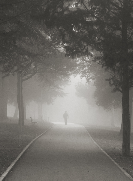 the fog