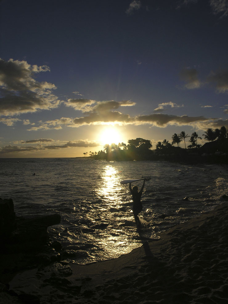 Sunset Surfer
