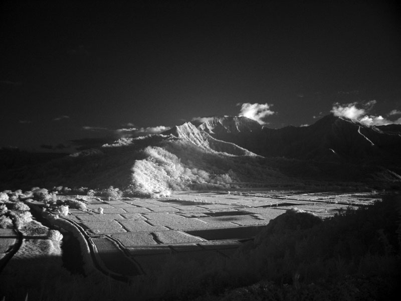valley of shadows
