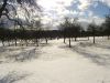 Apple trees in snow by Udo Altmann