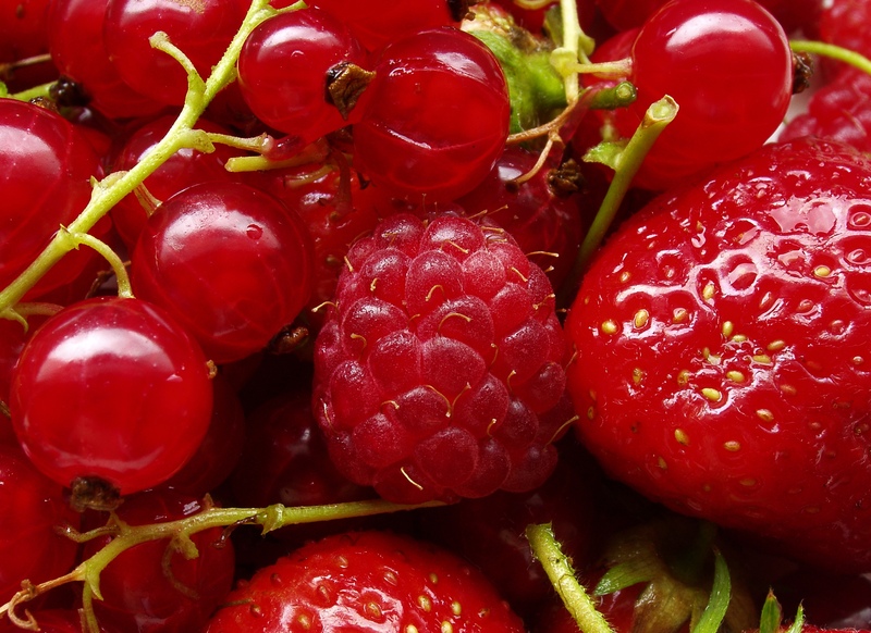 Juli Fruit Still Life