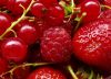 Juli Fruit Still Life by Udo Altmann