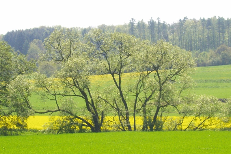 May Colours