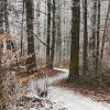 Serpentine Trail by Udo Altmann