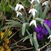 Early Spring Still Life by Udo Altmann
