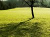 Spring starts by Udo Altmann