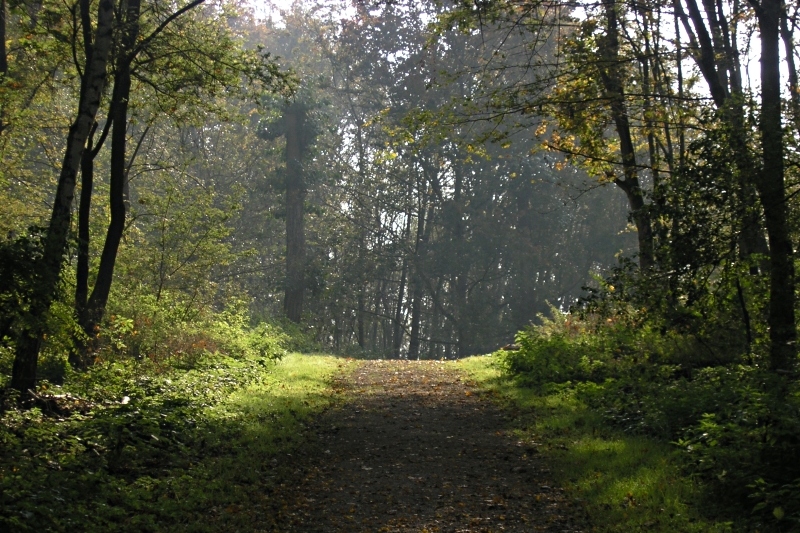 Not Romantic (Path on the Silberbuck)